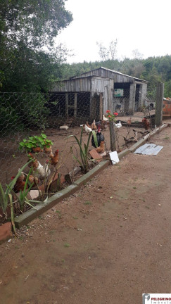Imagem Imóvel com 2 Quartos à Venda, 95 m² em Zona Rural - Sentinela Do Sul Imagem Imóvel com 2 Quartos à Venda, 95 m² em Zona Rural - Sentinela Do Sul