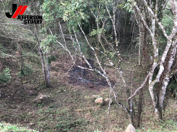 Imagem Chácara à Venda, 4.623 m² em Caquende - Delfim Moreira Imagem Chácara à Venda, 4.623 m² em Caquende - Delfim Moreira