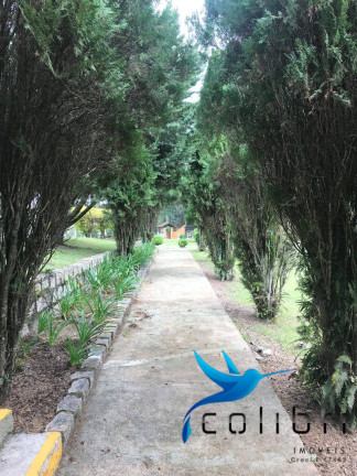 Imagem Chácara à Venda, 1.626 m² em Ximbuva - Agudos Do Sul