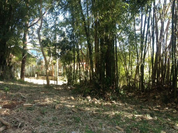 Imagem Terreno à Venda, 3.013 m² em Praia Da Ferrugem - Garopaba Imagem Terreno à Venda, 3.013 m² em Praia Da Ferrugem - Garopaba