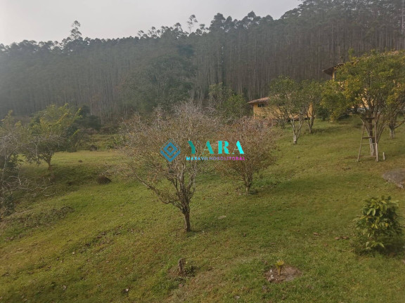 Imagem Chácara com 10 Quartos à Venda, 20.000 m² em Horto Florestal - Ubatuba
