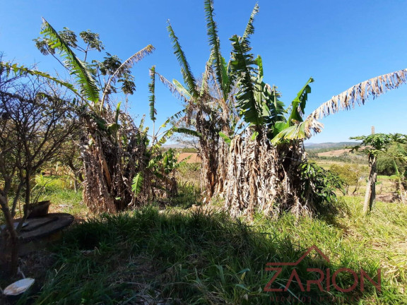 Imagem Chácara à Venda, 1.000 m² em Chácara Dallas - Taubaté