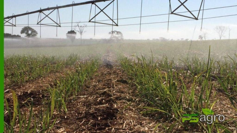 Imagem Fazenda à Venda, 150.766 m² em Centro - Itapura