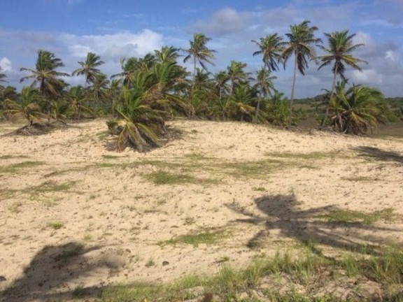 Imagem Terreno à Venda, 100.000 m² em Centro - Jandaíra Imagem Terreno à Venda, 100.000 m² em Centro - Jandaíra