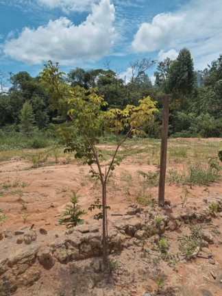 Imagem Chácara com 2 Quartos à Venda, 150 m² em Cocuera - Mogi Das Cruzes Imagem Chácara com 2 Quartos à Venda, 150 m² em Cocuera - Mogi Das Cruzes