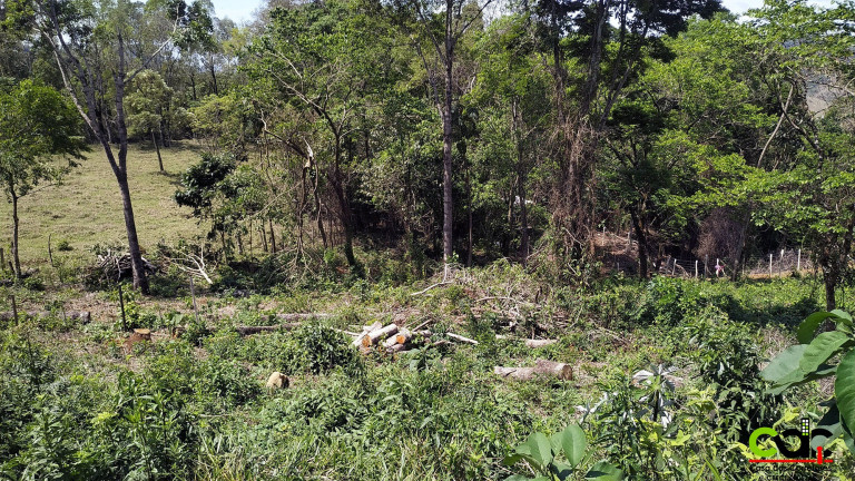 Imagem Imóvel à Venda, 667 m² em Laranjeira De Caldas - Caldas