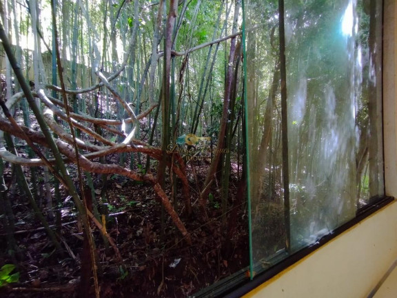Imagem Galpão à Venda, 2.400 m² em Parque Do Imbui - Teresópolis Imagem Galpão à Venda, 2.400 m² em Parque Do Imbui - Teresópolis