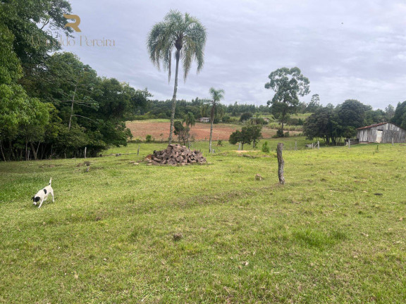 Imagem Chácara com 2 Quartos à Venda, 32.000 m² em Fazenda Fialho - Taquara