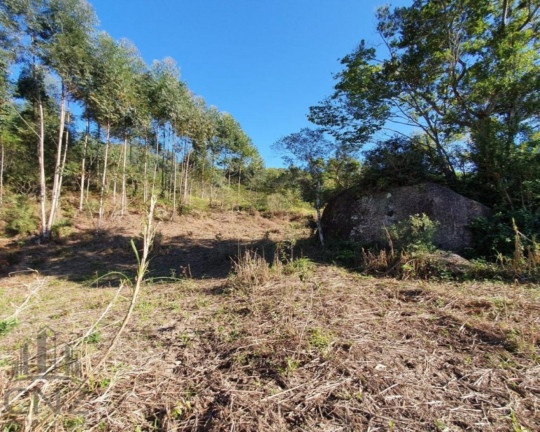 Imagem Imóvel com 1 Quarto à Venda, 96.000 m² em Dom Joaquim - Brusque