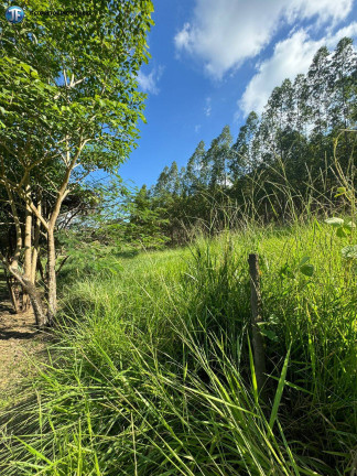 Imagem Chácara com 6 Quartos à Venda, 55.000 m² em Belo Oriente