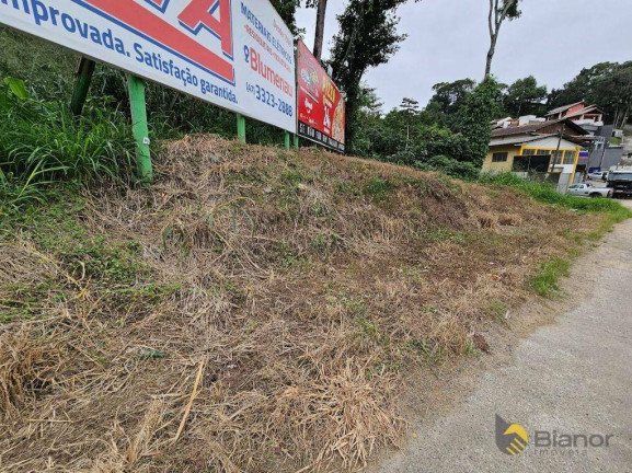 Imagem Terreno à Venda, 729 m² em Itoupava Norte - Blumenau Imagem Terreno à Venda, 729 m² em Itoupava Norte - Blumenau