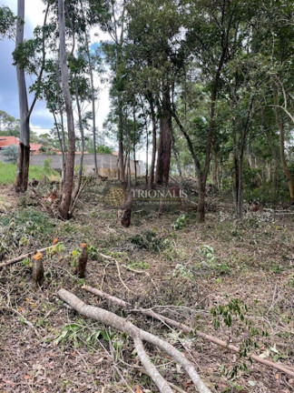 Terreno à Venda, 360 m² em Bosque Dos Eucalíptos - Atibaia