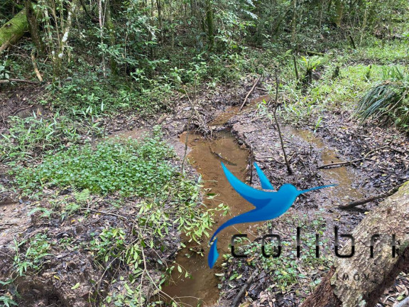 Imagem Chácara à Venda, 21.000 m² em Ribeirãozinho - Agudos Do Sul Imagem Chácara à Venda, 21.000 m² em Ribeirãozinho - Agudos Do Sul
