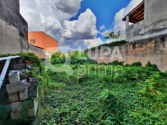 Imagem Terreno para Alugar, 140 m² em Vila Maria - São Paulo Imagem Terreno para Alugar, 140 m² em Vila Maria - São Paulo