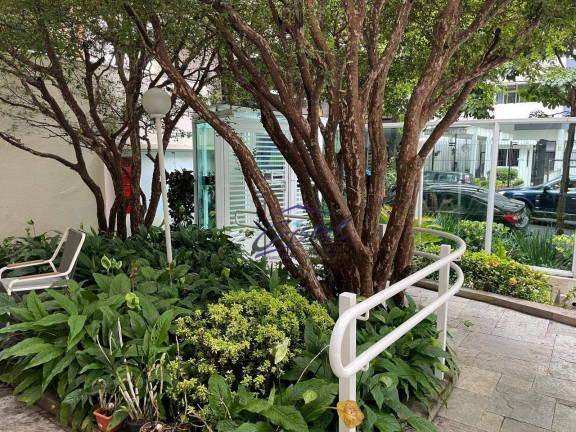Imagem Apartamento com 3 Quartos à Venda, 77 m² em Higienópolis - São Paulo Imagem Apartamento com 3 Quartos à Venda, 77 m² em Higienópolis - São Paulo