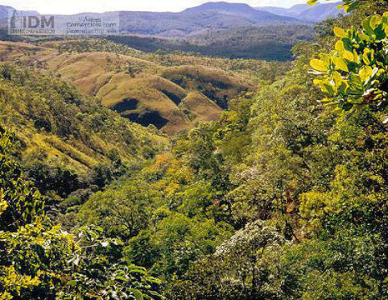 Imagem Chácara à Venda, 12.000.000 m² em Centro - Niquelândia