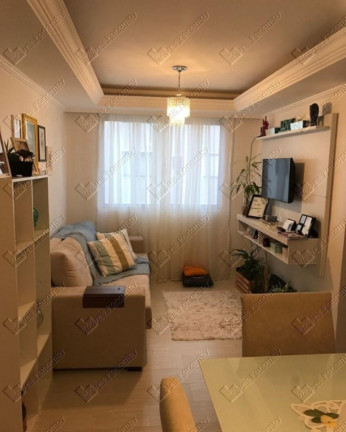 Apartamento com 3 Quartos à Venda, 58 m² em Paraisópolis - São Paulo