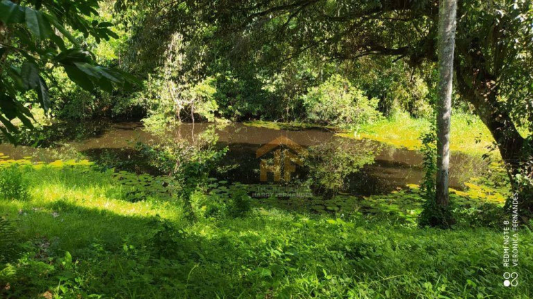 Imagem Chácara com 6 Quartos à Venda, 65.000 m² em Aldeia - Camaragibe