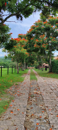 Imagem Imóvel com 7 Quartos à Venda, 1.621.400 m² em Centro - Sorocaba Imagem Imóvel com 7 Quartos à Venda, 1.621.400 m² em Centro - Sorocaba