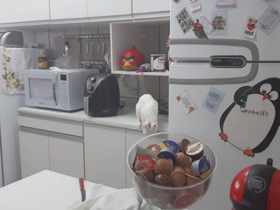 Imagem Apartamento com 2 Quartos à Venda, 94 m² em Ponta Da Praia - Santos Imagem Apartamento com 2 Quartos à Venda, 94 m² em Ponta Da Praia - Santos