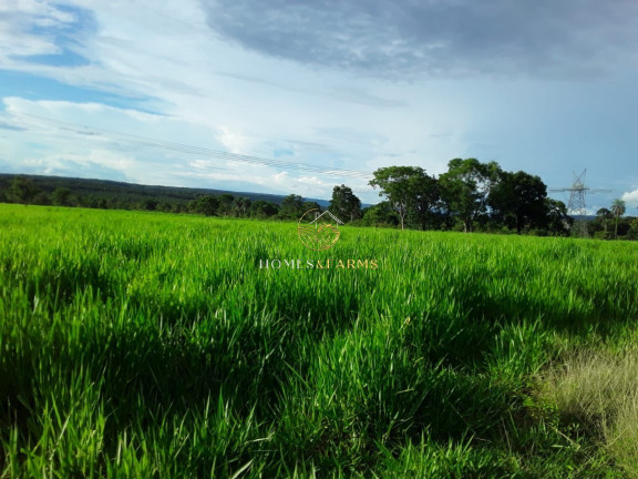 Imagem Imóvel com 3 Quartos à Venda, 2.770 m² em Zona Rural - Barra Do Bugres Imagem Imóvel com 3 Quartos à Venda, 2.770 m² em Zona Rural - Barra Do Bugres