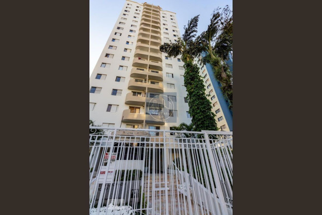 Imagem Apartamento com 3 Quartos à Venda, 72 m² em Vila Anglo Brasileira - São Paulo Imagem Apartamento com 3 Quartos à Venda, 72 m² em Vila Anglo Brasileira - São Paulo