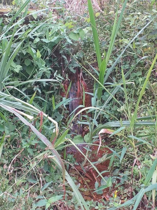 Imagem Fazenda à Venda, 8.000 m² em Centro - Trajano De Morais