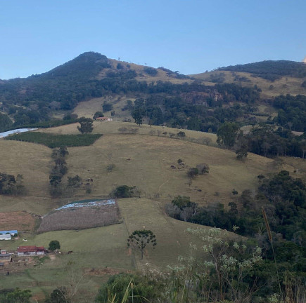 Imagem Casa com 3 Quartos à Venda, 3.500 m² em Ouro Fino