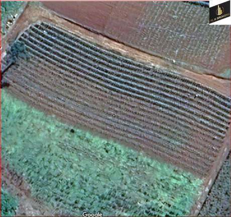 Imagem Imóvel com 3 Quartos à Venda, 48.000 m² em Bairro Retiro - Campo Magro