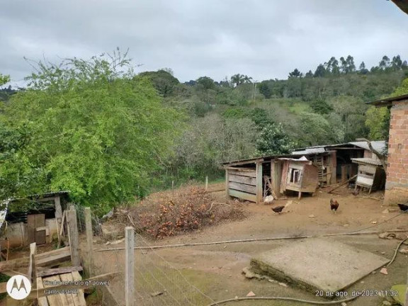 Imagem Imóvel com 4 Quartos à Venda, 22.000 m² em Areia Branca Dos Assis - Mandirituba