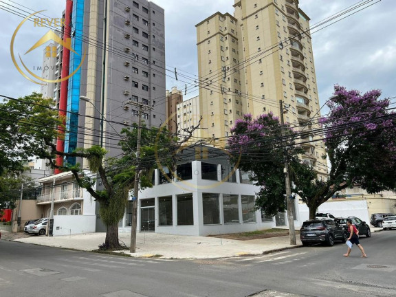 Imagem Imóvel para Alugar, 312 m² em Vila Itapura - Campinas