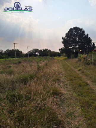 Imagem Chácara à Venda, em Viamão Imagem Chácara à Venda, em Viamão