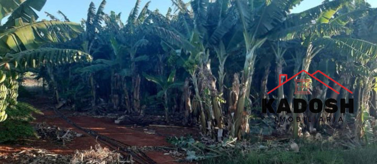 Imagem Terreno à Venda, em Povoado De Lagoa Grande - Ibipeba Imagem Terreno à Venda, em Povoado De Lagoa Grande - Ibipeba