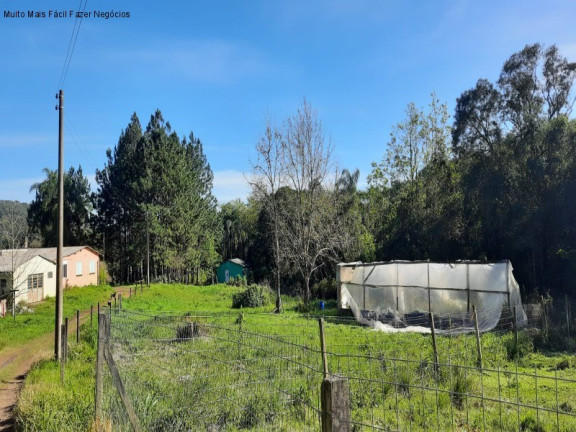 Imagem Terreno à Venda, 1 m² em Br 116 - Nova Petrópolis Imagem Terreno à Venda, 1 m² em Br 116 - Nova Petrópolis