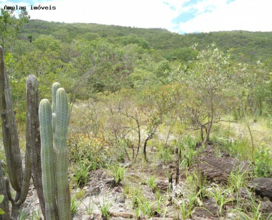 Imagem Fazenda à Venda, 164 m² em Monjolos área Rural - Monjolos Imagem Fazenda à Venda, 164 m² em Monjolos área Rural - Monjolos