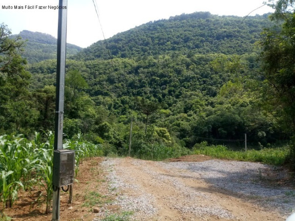 Imagem Terreno à Venda, 3 m² em Linha Pirajá Baixa - Nova Petrópolis