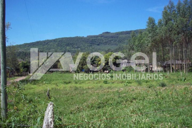 Imagem Imóvel à Venda,  em Três Pinheiros (distrito) - Itati