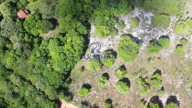 Imagem Fazenda à Venda, 592.700 m² em Monte Gordo (monte Gordo) - Camaçari