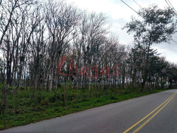 Imagem Terreno à Venda, 30.500 m² em Pegorelli - Caraguatatuba