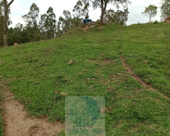 Imagem Imóvel com 2 Quartos à Venda, 150.000 m² em Rural - Jacuí Imagem Imóvel com 2 Quartos à Venda, 150.000 m² em Rural - Jacuí