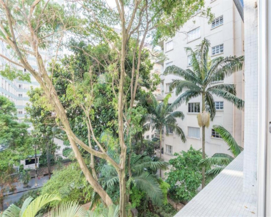 Imagem Apartamento com 4 Quartos à Venda, 300 m² em Higienópolis - São Paulo