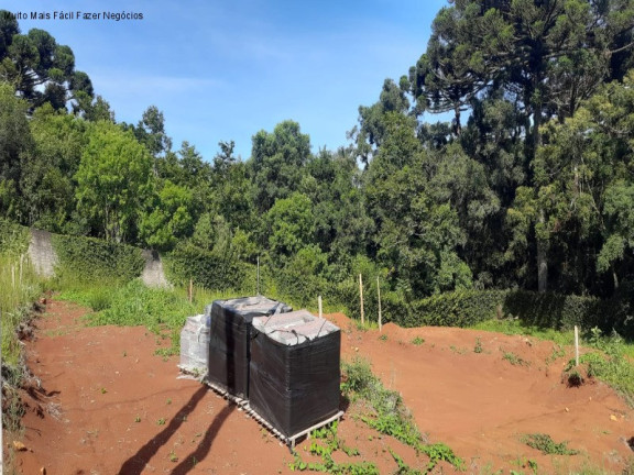 Imagem Terreno à Venda, 469 m² em Linha Imperial - Nova Petrópolis Imagem Terreno à Venda, 469 m² em Linha Imperial - Nova Petrópolis
