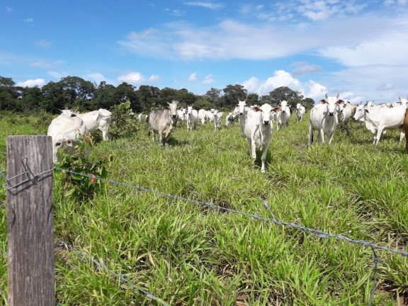 Imóvel à Venda,  em Palmas - To - Palmas