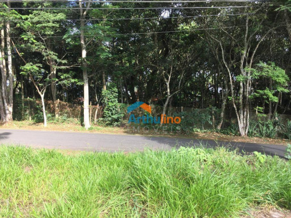 Imagem Terreno à Venda, 1.015 m² em Chácara Represinha - Cotia