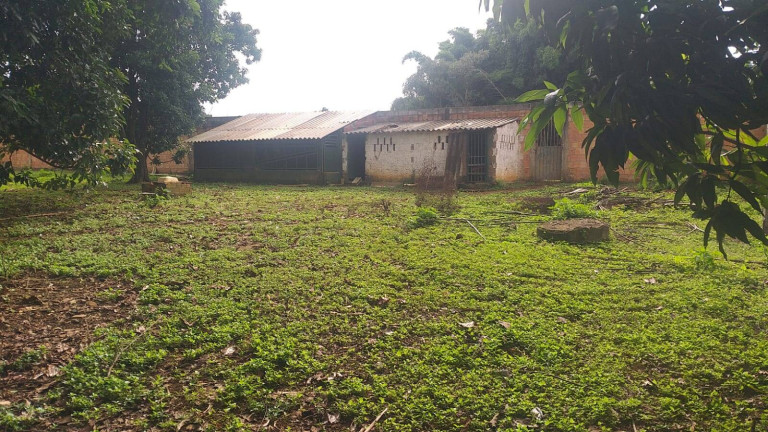 Imagem Chácara à Venda, 6.000 m² em Zona Rural - Brasília Imagem Chácara à Venda, 6.000 m² em Zona Rural - Brasília