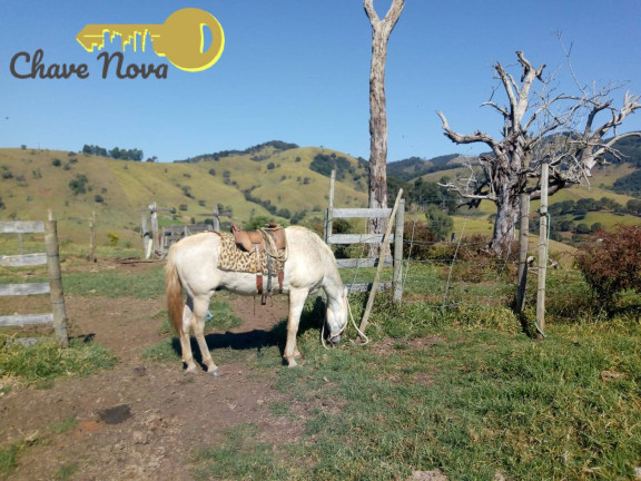 Imagem Chácara com 3 Quartos à Venda, 20 m² em Roseta - Cambuí