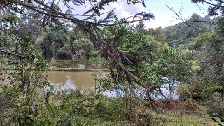 Imagem Imóvel com 3 Quartos à Venda, 11 m² em Olaria - Bocaiúva Do Sul