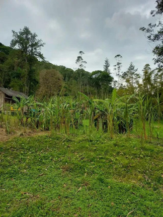 Imagem Imóvel com 2 Quartos à Venda, 113.000 m² em Centro - Morretes 