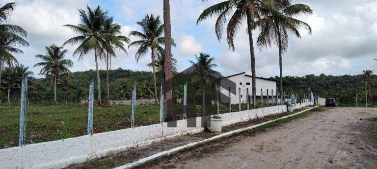 Imagem Terreno à Venda, 1.250 m² em Cruz Do Rebouças - Igarassu Imagem Terreno à Venda, 1.250 m² em Cruz Do Rebouças - Igarassu