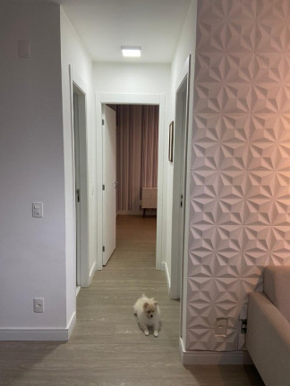 Imagem Imóvel com 2 Quartos à Venda, 50 m² em Vila Santa Catarina - São Paulo
